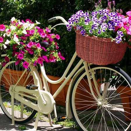 Bed & Breakfast San Francesco